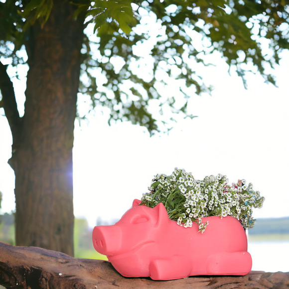 Pig Planter Plant Pot Planter Succulent Cactus Pig Shape Flower Pot for Garden - Picture 4 of 4